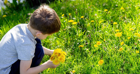 Wall Mural - Funny baby sniffs a dandelion. Spring in nature. Allergy to flowering. pollinosis Allergy to pollen.