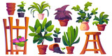 Fototapeta Panele - Greenhouse and gardening elements. Cartoon vector illustration set of pants in pot, wooden rack and chair, empty flowerpots. Glasshouse or conservatory room interior houseplants and greenery.