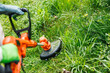 Gardener using electric weed trimmer to trim grass in garden. Lawn care in yard