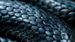Close-up of vibrant black snake scales, detailed reptile skin texture, shallow depth of field.