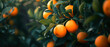 Close up of juicy mandarin, oranges, tangerine, with green leaf. Citrus Fruits. Gorgeous banner for ads. Generative ai