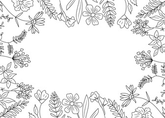 Wall Mural - Wild blooming meadow flowers and herbs frame. Horizontal banner, floral overlay backdrop. Botanical monochrome ink sketch style hand drawn vector illustration isolated on transparent background.