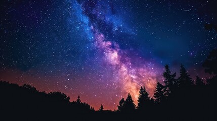 Wall Mural - starry night sky over silhouette of trees