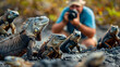 Wildlife Photographer Capturing the Essence of Galápagos Iguanas