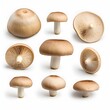 Fresh champignon mushrooms whole and sliced isolated on white background Overhead perspective