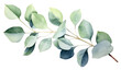 PNG Plant leaf tree gardenia