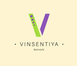 Bundle Minimalistic Logos. Monogram of letters V. circle. Vector design. for beauty salon or art studio.