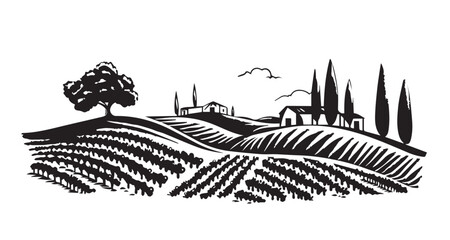 Poster - Vineyard landscape, Sketch, hand drawn illustrations.	
