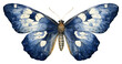 PNG Indigo moth butterfly animal insect