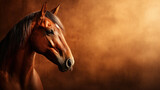Fototapeta Dziecięca - brown horse close-up
