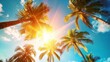 © Artem - Summer vacation banner. Romantic vibes of tropical palm tree sunlight on sky background. Outdoor sunset exotic foliage closeup nature landscape. Coconut palm trees shining sun over bright sky panorama