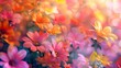From soft pinks to bold yellows get lost in the kaleidoscope of colorful flowers that bloom in a burst of beauty.