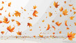 Realistic falling leaves. Autumn forest maple leaf