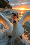 Fototapeta  - majestic swan flying over the lake at sunset