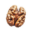 Walnut isolated on transparent background. PNG format