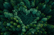 Top-down view of a forest with a love shape symbol