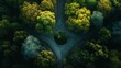 high quality aerial view of a paved road and green forest trees