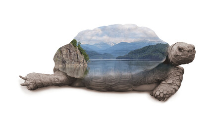 Wall Mural - Double exposure of tortoise and lake between hills