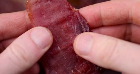 Wall Mural - dried pork meat with spices and salt on the table, dry pork meat with salt and spices for flavor for long-term storage