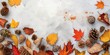 Top view image presents a delicate arrangement of colorful autumn leaves and various pine cones on a textured white background