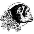 Monkey ape head animal engraving PNG illustration. Scratch board style imitation. Black and white hand drawn image.