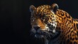 Sleek Jaguar Silhouetted in Darkness