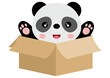 Cute panda in cardboard box