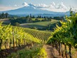 Oregon Wine Month exclusive tastings