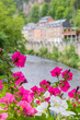 Colorful flowers on the bridge over the river Ourthe in La Roche-en-Ardenne, Belgium
