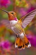 Elegant hummingbirds in flight, savoring nectar from vibrant and colorful flowers with precision