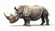 a rhinocero standing on a white surface with a white background