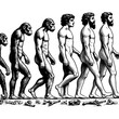 © Oleksandr Pokusai - evolution of man from ape through various stages to modern human sketch engraving generative ai fictional character PNG illustration. Scratch board imitation. Black and white image.