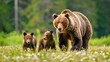 A mother bear and her two cubs walk through a field of flowers