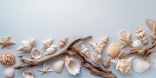 A Collection Of Various Sea Shells And Starfish Arranged With Driftwood Pieces On A Clean, Light Background