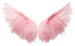 PNG  Wing png angel pink bird.