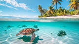 Half underwater view clear sea and sand beach with palm trees. Underwater inhabitants, turtles and fishes.