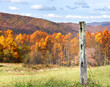 Fence Post With Autumn View