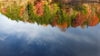 Upside Down View of Autumn in Bays Mountain Lake