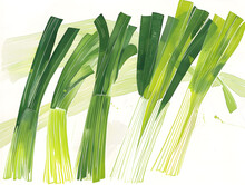Green Leek Brush Strokes. Hand-painted Acrylic Leek Representation With Green And Yellow Tones On White Background. 
