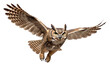© Rawpixel.com - PNG Great horned owl animal flying bird.
