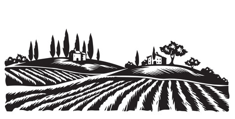 Poster - Vineyard landscape, Sketch, hand drawn illustrations.	
