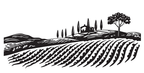 Vineyard landscape, Sketch, hand drawn illustrations.	
