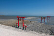 View of red torii gates at Oouo Shrine by sea, Tara, Saga