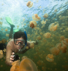 Wall Mural - Man snorkeling in Jellyfish lake, Palau.