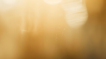 Aufkleber - Abstract blur soft focus soft blinking light beige horizontal copy space background : Generative AI