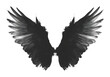 PNG Hand drawn angel wing blackbird agelaius animal