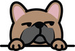 Funny french bulldog brown color looking sideways cartoon, vector illustration
