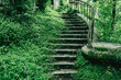 A staircase in a lush green forest
