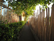 Narrow path through bushes and wooden fence at sunset.