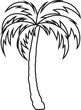 Palm tree icon. Vector. Line style.